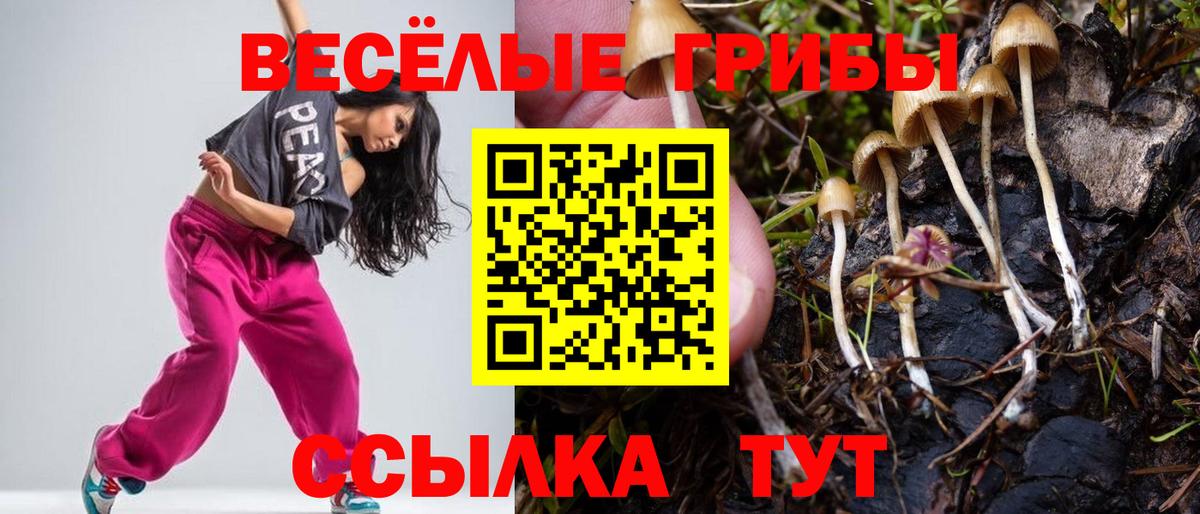 Пушкино  Галлюциногенные грибы Psilocybine cubensis  Вход с VPN  Псилоцибиновые грибы Psilocybine cubensis 
